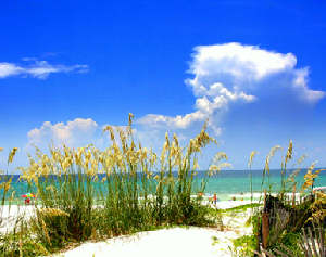 Gulf Coast Florida