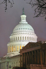The U.S. Capitol Building