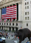 Bear on Wall Street