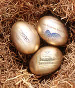 nest egg