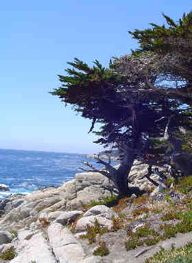 Carmel, California