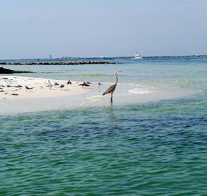 East Pass Destin Florida