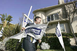 Real Estate Agent