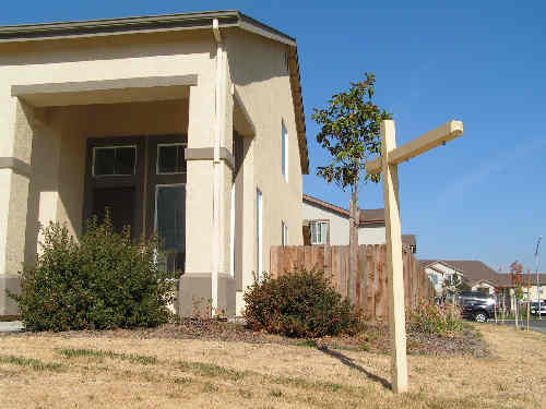 Foreclosed Home
