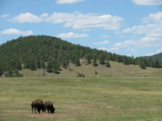 Wind Cave National Park, South Dakota