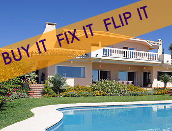 flippers