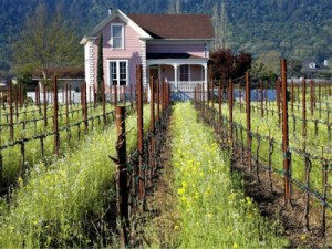 Napa Valley Home