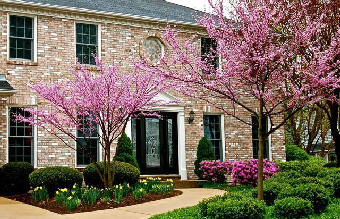 spring time home