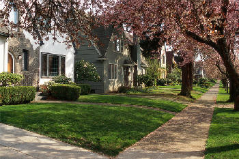 neighborhood