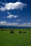 Big Sky Country Montana