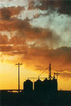 Garden City Sunset