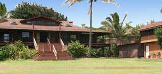 Macadamia Meadows Farm