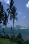 Hawaii shoreline