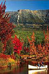 Beautiful Fall Foliage