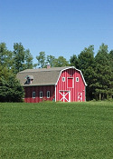 Nebraska - Soybean Field