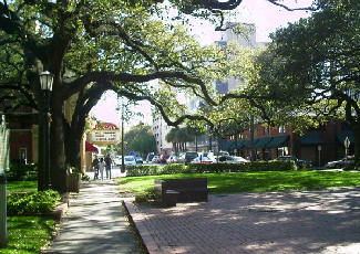 Savannah
