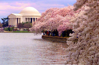 Washington, D.C.