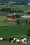 Wisconsin’s Farmland