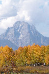 Beautiful Jackson Hole Wyoming