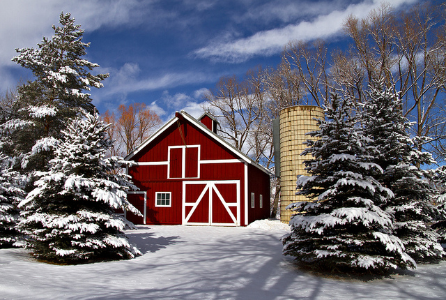 Colorado house