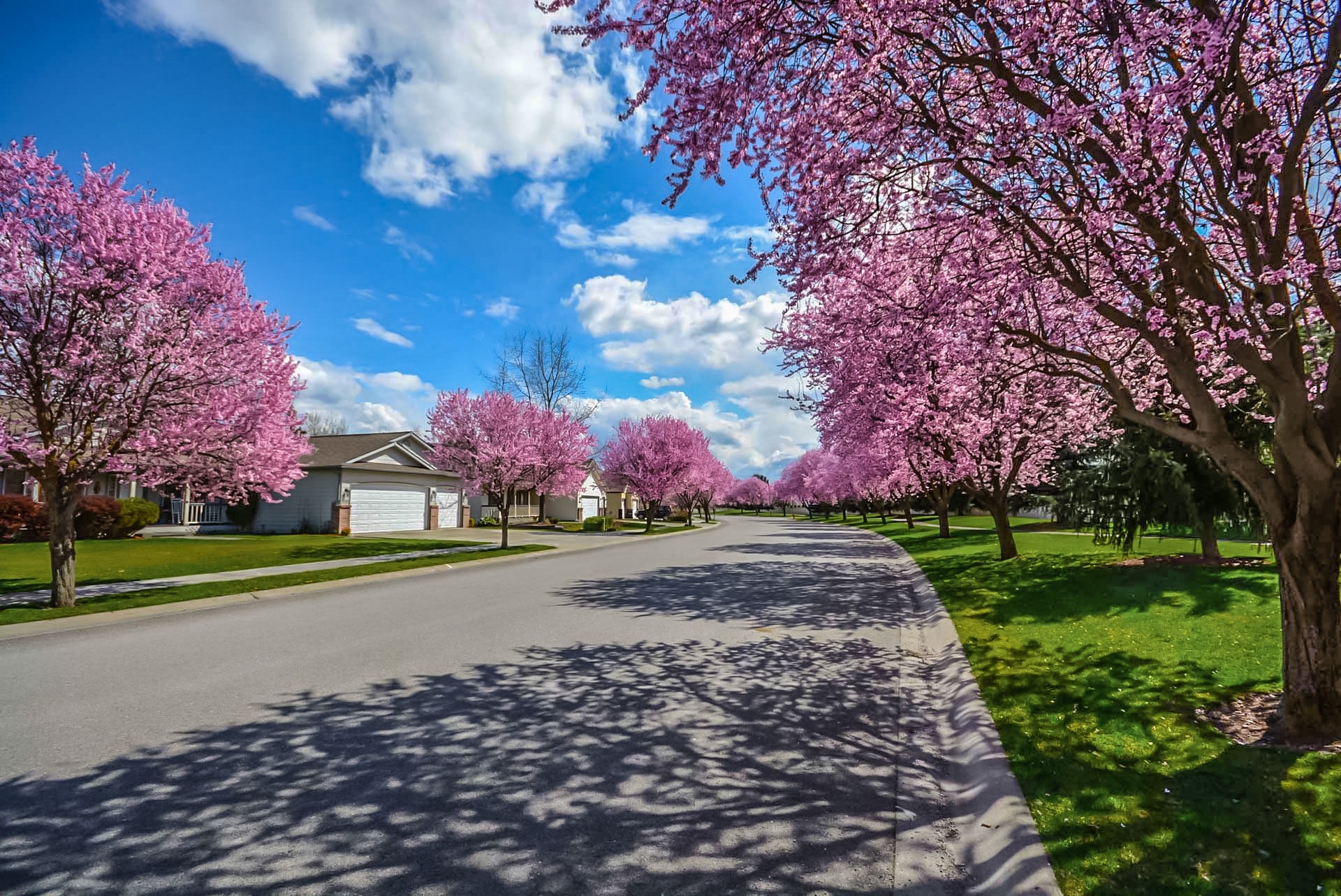 Sprint in the Suburbs