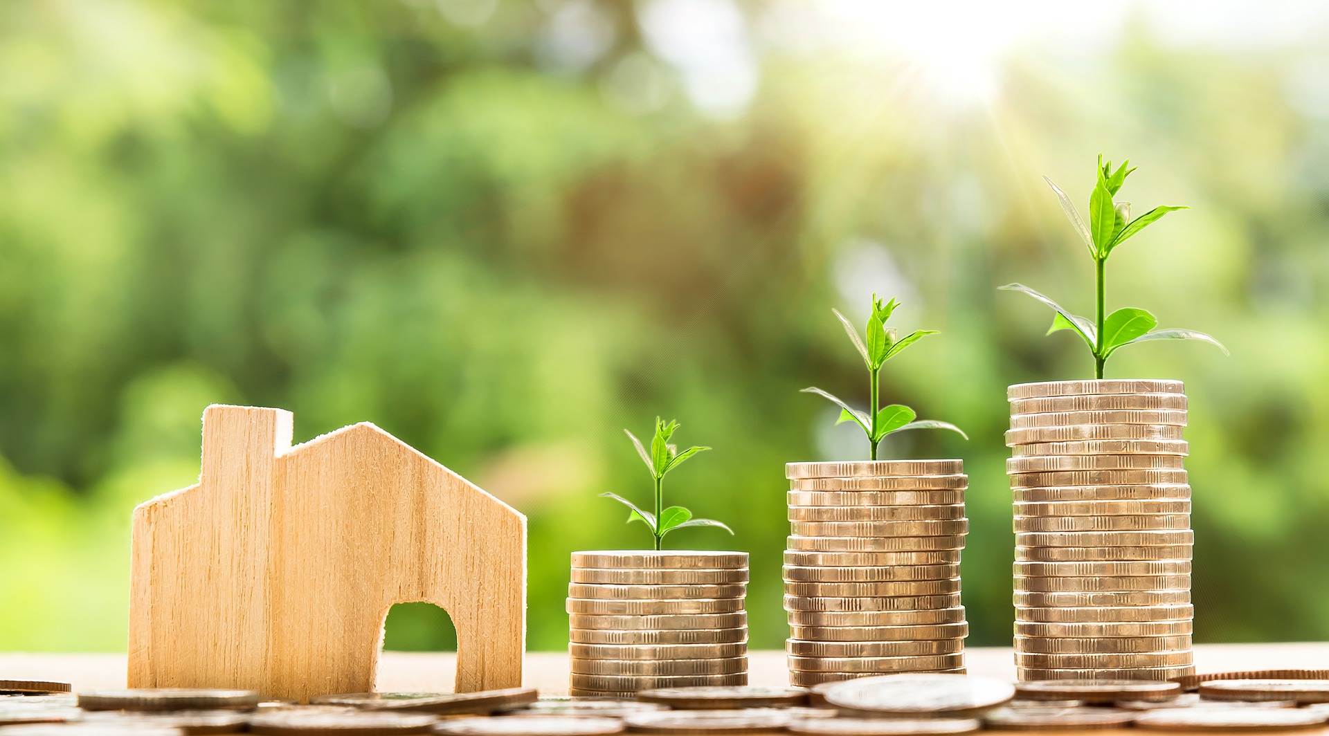 Coins and Wooden House