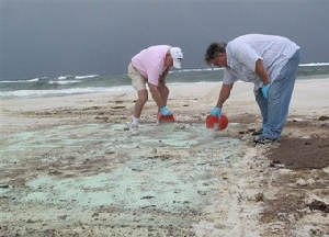 Demonstration of Oil Clean up on Pensacola Beach, Florida