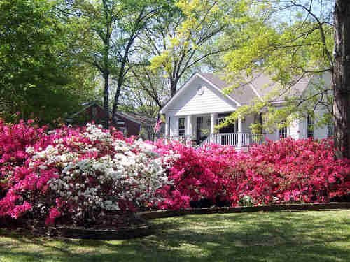 home for sale in spring