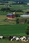 Wisconsin's Farmland